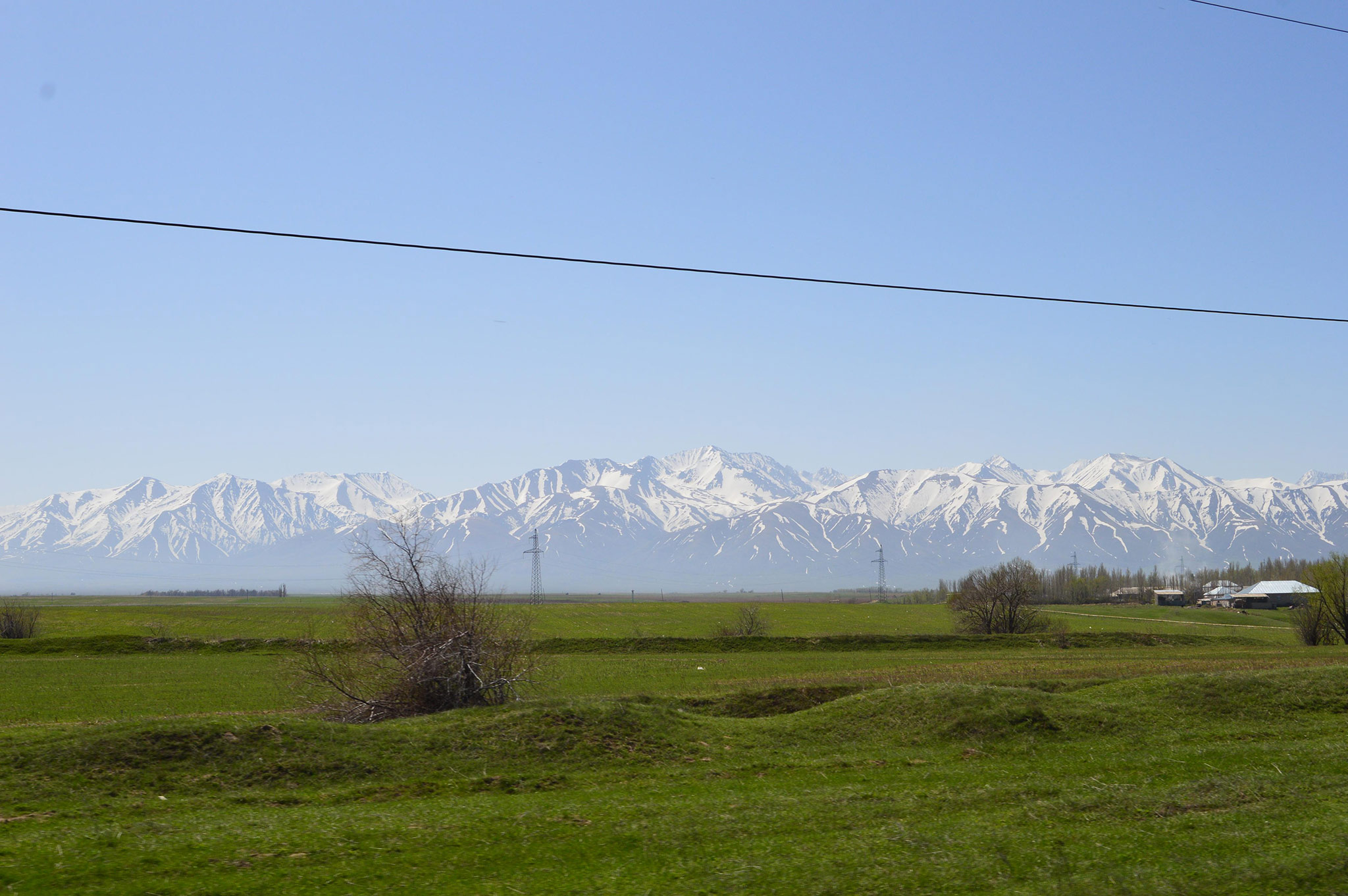 Taraz (Zhambyl, Джамбул)